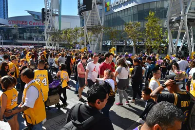 DSC_7196 (Large).JPG